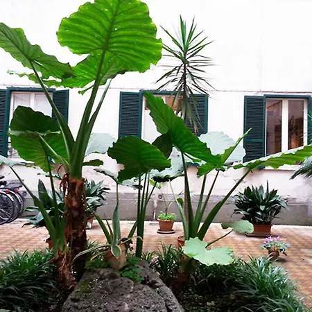 Apartman Vespucci